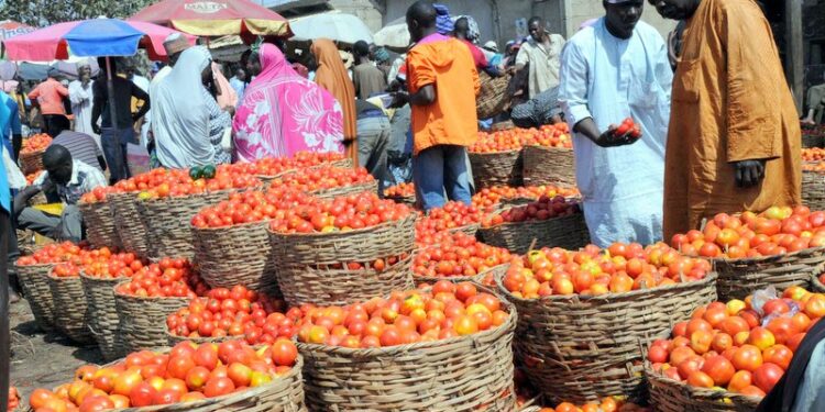 Tomato Scarcity