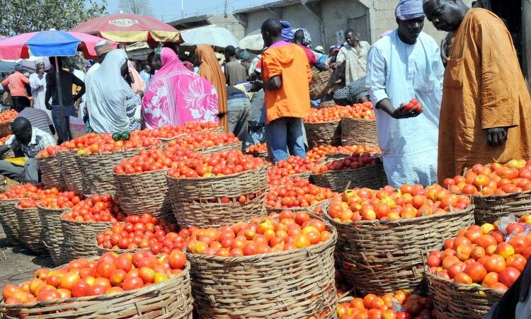 Tomato Scarcity