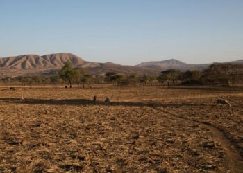 The Unprecedented Impact Of El Niño In Nigeria
