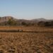 The Unprecedented Impact Of El Niño In Nigeria