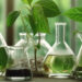 FG, Scientists Reiterate Commitment To Green, Sustainable Chemistry 5 FG, Scientists Reiterate Commitment To Green, Sustainable Chemistry