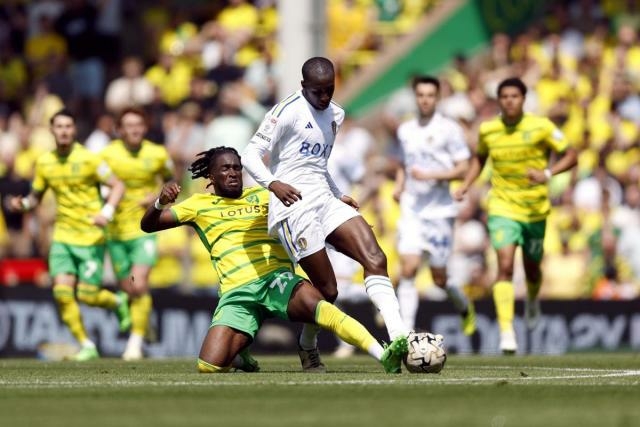 Norwich, Leeds Draw In Championship Play-offs First Leg 1 29874f5af34b2f3a0e8ab17d72eeb3fc