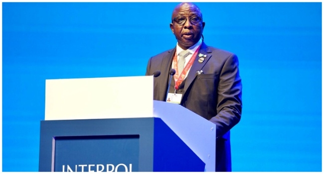 We’re Working To Extradite Binance Chief To Nigeria – INTERPOL 1 AIG Garba Baba Umar rtd