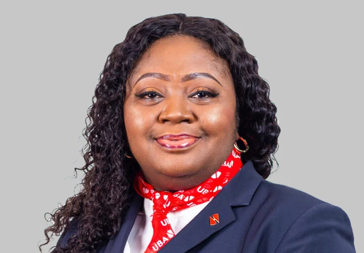 UBA Africa CEO Advocates Secure Funding 1 Abiola e1675115706474