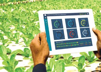 Leveraging Tech To Make Inroad In Agric Business