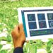 Leveraging Tech To Make Inroad In Agric Business