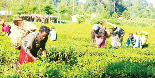 Agrobusiness