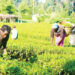 52,000 Women, Youths Empowered For Wet Season Farming 8 52,000 Women, Youths Empowered For Wet Season Farming