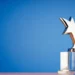 BCA Awards: ‘Number Of Africa’s Business Books Modest Compared To Emerging Businesses’ 5 SGF Office, TBS, Collaborate On NEAPS 2024