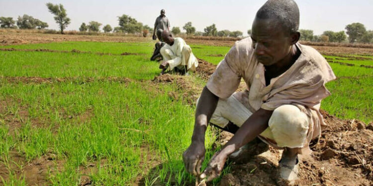 Farmers