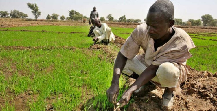 Farmers
