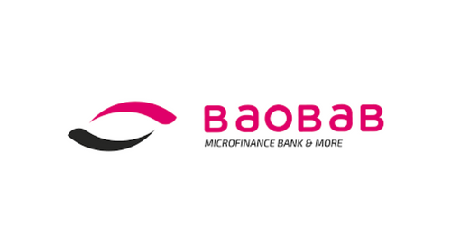 BAOBAB, NDI Inaugurate Group To Drive Women's Participation In Politics 1 Baobab MfB