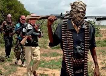 JUST-IN: 31 Killed, 40 Missing As Terrorists Attack Fishermen In Borno