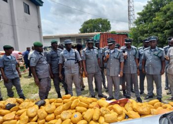 Customs Intercepts 373,440 Litres Of Smuggled Petrol In Lagos