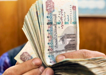 Reforms: Egypt’s Economic Crisis Holds Lessons For Nigeria