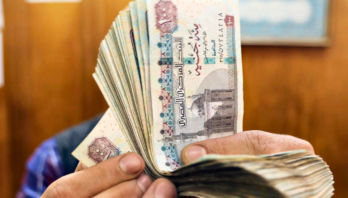 Reforms: Egypt’s Economic Crisis Holds Lessons For Nigeria 1 Egypt pound