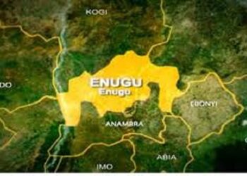 Partnership With FG On Cassava-to-Bioethanol Production Working – Enugu Govt