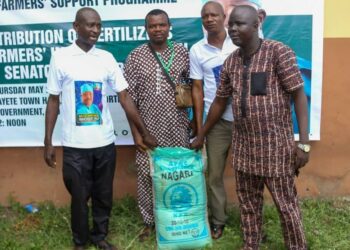 Food Security: Alli Donates Fertilizers To Oyo Farmers