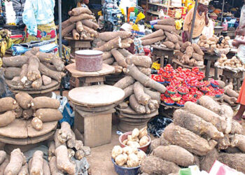 Young Nigerians Embrace Farming In FCT As High Food Prices Persist