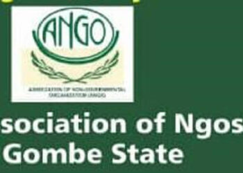 NGOs Set Agenda For Gombe Council Chairmen