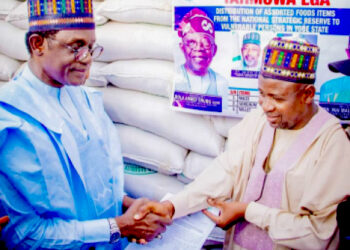 We’ll Soon Launch Massive Agricultural Intervention In Yobe – Governor Buni