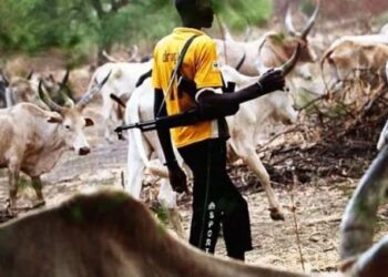 Coalition Alleges Killing Of 2 Herdsmen In Plateau