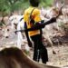 Coalition Alleges Killing Of 2 Herdsmen In Plateau
