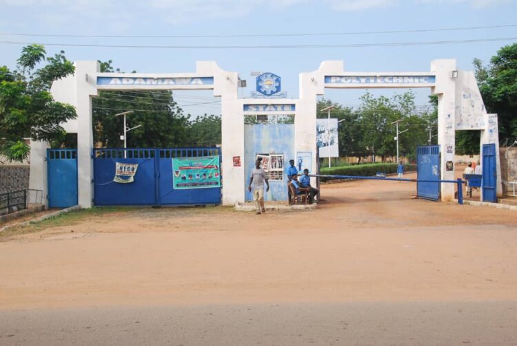 Yola Poly
