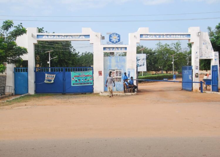 Yola Poly