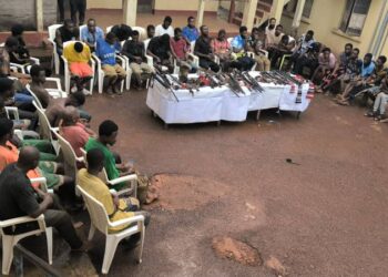 Police Arrest 202 Suspects For Kidnapping, Other Offences In Enugu