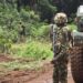 Troops Kill IPOB’s Bomb-making Expert In Imo