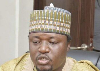 Zamfara Protests Confirm Plot To Undermine Tinubu’s Reelection, Says Arewa Group