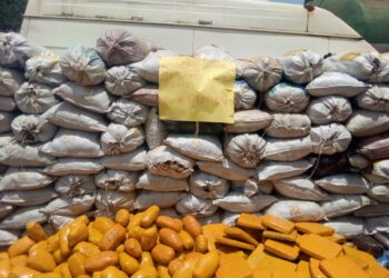 Customs Intercepts N380m Smuggled Goods In Ogun