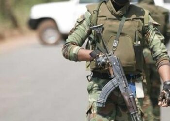 FACA And Russian Instructors Hold Successful Military Operation In Kouki