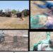 Troops Kill 7 Terrorists, Recover Arms In Borno