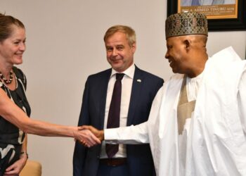 Nigeria, Germany To Partner On $130bn Global Hydrogen Market