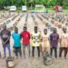 Army Smashes Syndicate Supplying Fuel To Cameroon Rebels