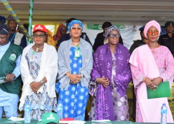 Cervical Cancer: NPHCDA, Kwara Gov’t Kick Off HPV Vaccination