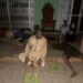 Troops Kill 3 Terrorists, Rescue Hostages In Benue 5 Troops Kill 3 Terrorists, Rescue Hostages In Benue