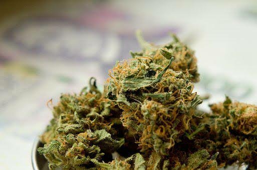 No One Should Be In Jail Merely For Using, Possessing Marijuana — US Govt 1 IMG 6690