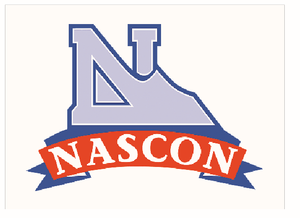 NASCON’s Turnover Rises To N80.8bn, Assures Value Creation 1 NASCON Allied Industries