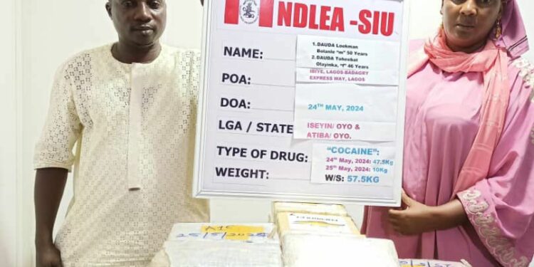ndlea