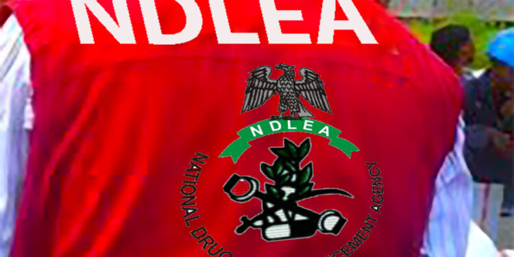 NDLEA
