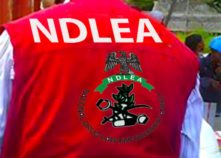 NDLEA