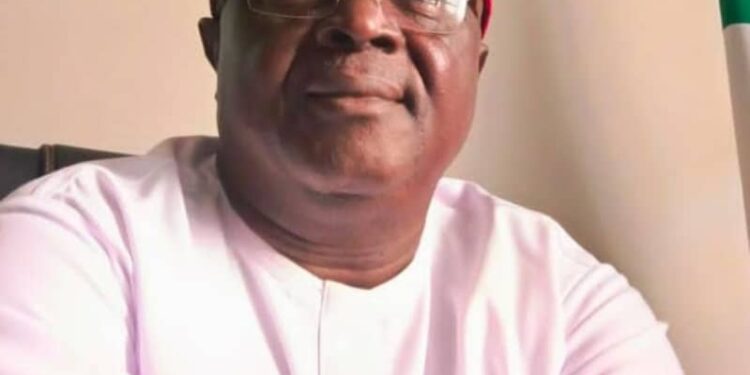 NRM national chairman, Isaac Chigozie Udeh