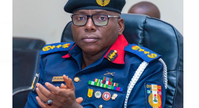 Nigeria’s Mineral Crisis