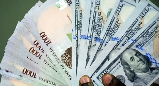 Naira Rebounds, Gains N28.15 Against Dollar 1 Naira and Dollar