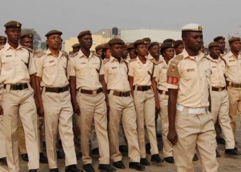 NIS Seeks Monarchs’ Support Against Migrants’ Menace