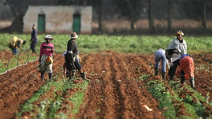 AFAN Urges Early Distribution Of Inputs For Wet Season Farming 1 Nigerian farmers e1687296028922