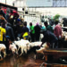 Lagos Threatens To Prosecute Traders Operating Illegal Livestock Markets 5 Lagos Threatens To Prosecute Traders Operating Illegal Livestock Markets